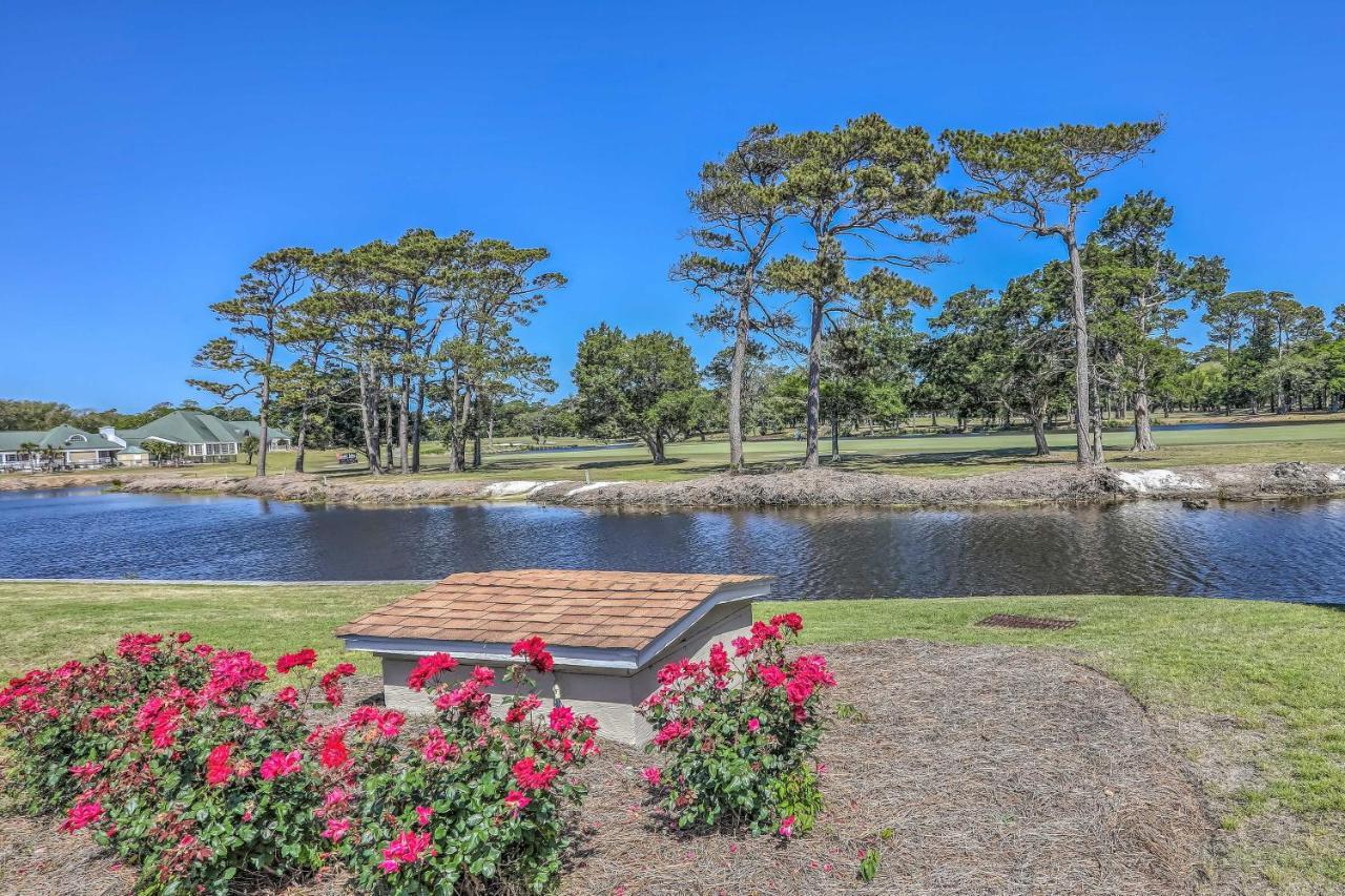 Appartamento North Myrtle Quick Walk To Beach! Myrtle Beach